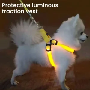 USB LED Dog Harness