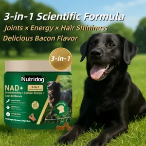 NUTRIDOG Senior Vitality Chews